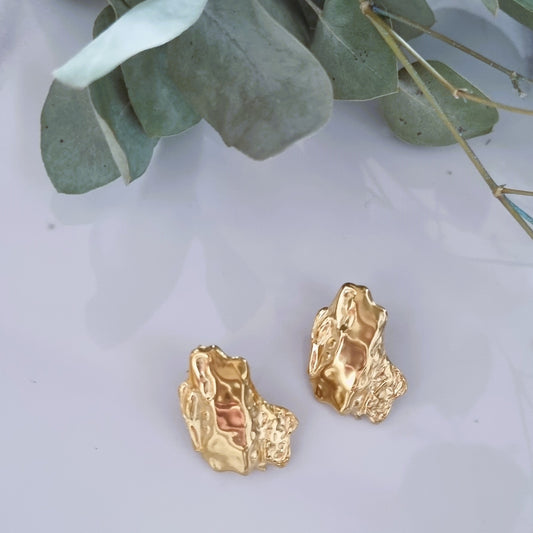 Gold steel earrings