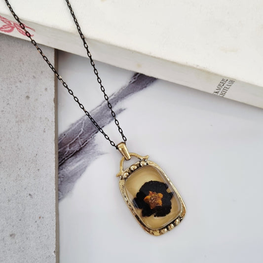 Πανσές - Viola